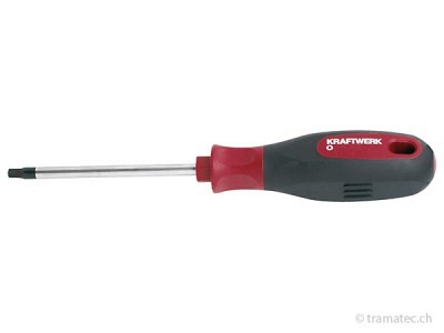 KRAFTWERK ergokraft Schraubendreher TX T10