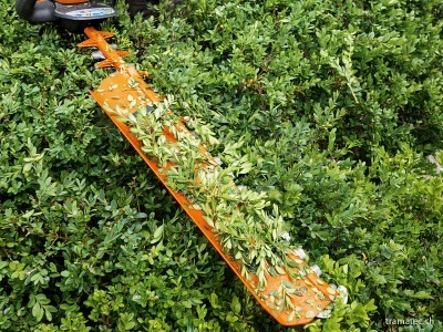 STIHL Fangblech für Heckenscherenmesser
