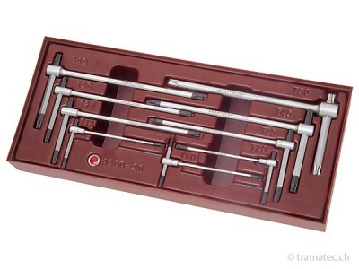 KRAFTWERK 9-t. T-Griff-Stiftschl.satz TX T10-50