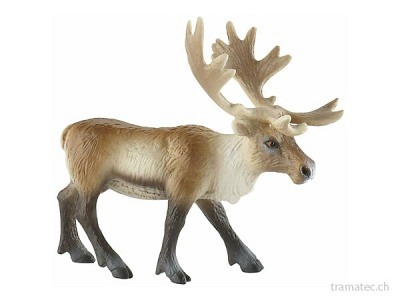 Schleich Rentier