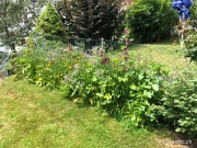 Bild 2 von 3